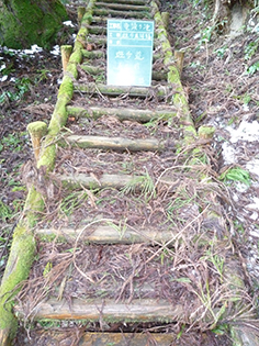 遊歩道